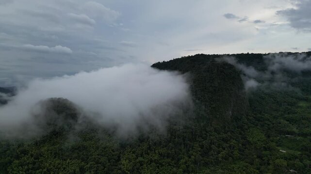 Vista a&eacute;rea de un bosque cubierto por nubes en Ecuador