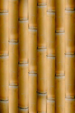 Full frame close-up texture of vertical golden yellow bamboo stalks arranged neatly side by side. Ideal natural background for Asian culture, interior design, eco-friendly concepts, craft, and archite