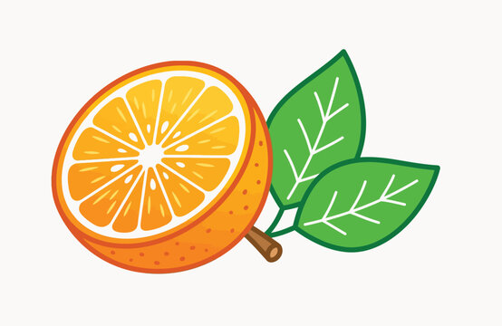 Orange Slice with Green Leaves, Fresh Citrus Fruit Illustration