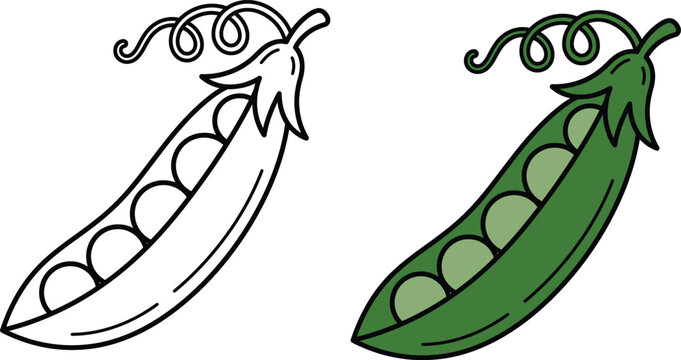 Green Pea Pod Illustration, Fresh Garden Vegetable Vector Design