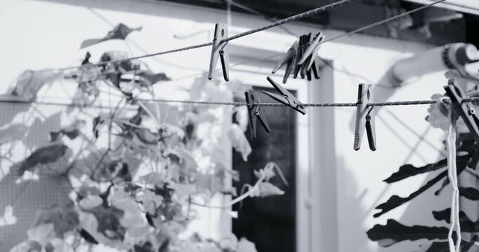 Black and white photo of three clothespins hanging on a wire clothesline outdoors. Soft blurred background with garden plants and a fence. Vintage film grain style. Everyday rustic scene.