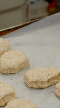 closeup hand places raw biscuit rounds on parchment-lined tray in commercial bakery prep area, showing pale dough texture before baking under warm kitchen light
