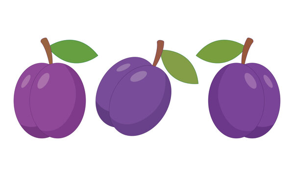 Three ripe purple plums with green leaves and brown stems