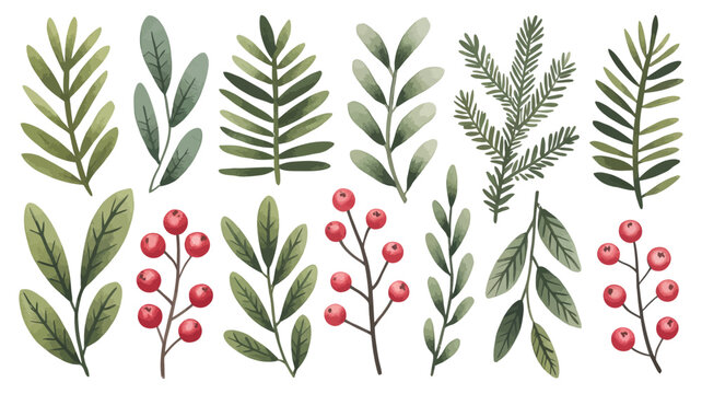 Watercolor set of christmas botanical elements, green leaves, pine branches and red berries