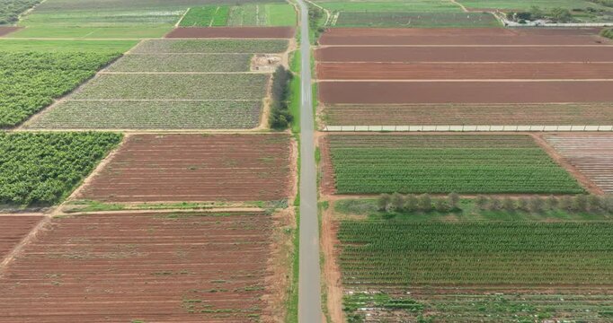 Aerial View of Crop Plantations, Carnarvon Western Australia, 4K Drone