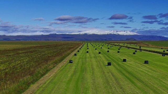 Aerial view of wrapped silage bales in Rangarthing eystra, Iceland.