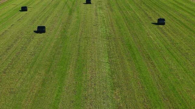 Aerial view of wrapped silage bales in a green field, Iceland.