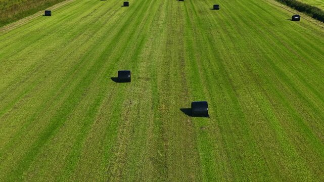 Aerial view of wrapped hay bales in a green field, Iceland.