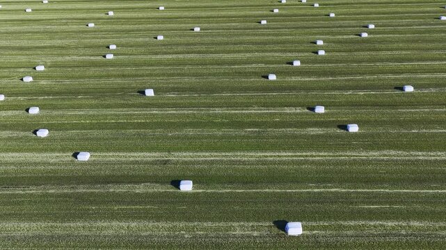 Aerial view of wrapped silage bales in a green field, Iceland.