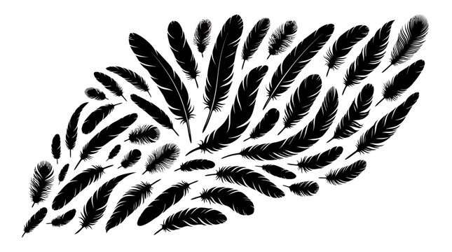 Black feather silhouettes collection, decorative bird plumage vector set, elegant quill and down feather illustrations for graphic design