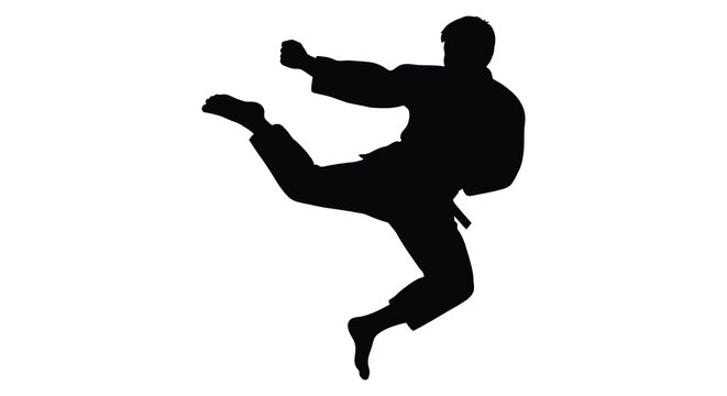 Martial artist silhouette performing a dynamic kick against a white background