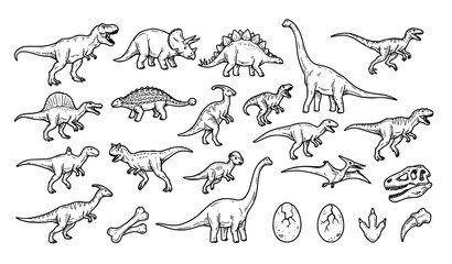 Vector Collection of Dinosaur Illustrations with T-Rex, Triceratops, Stegosaurus, Brachiosaurus, Skull, Skeleton, and Prehistoric Reptile Species © Arslanur