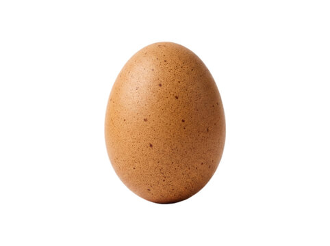 Single Fresh Brown Chicken Egg Isolated on White Background