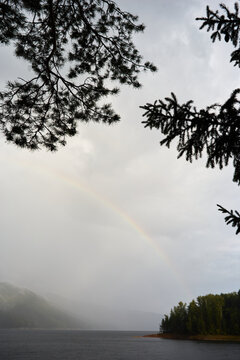 Autumn rainbow over misty lake framed by pine tree