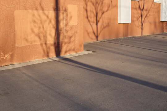 Autumn forest shadows on orange building staircase