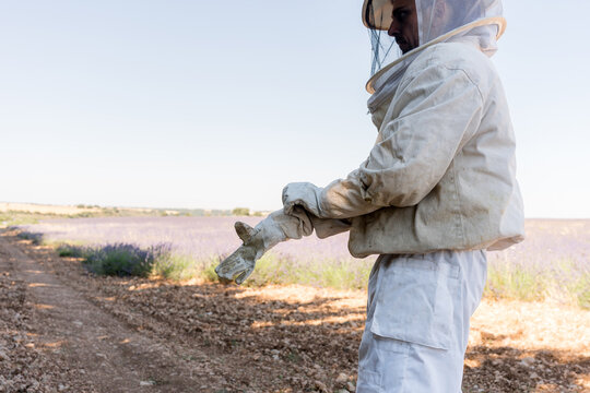 Gloved hands hold shade netting above vegetable field