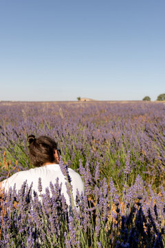 Man among lavender blooms in a sunlit field