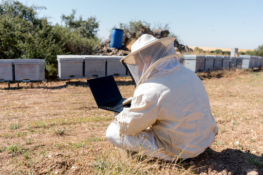 Beekeeper using laptop beside beehive in rural apiary