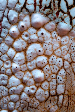 Abstract macro detail of textured ceramic vase surface