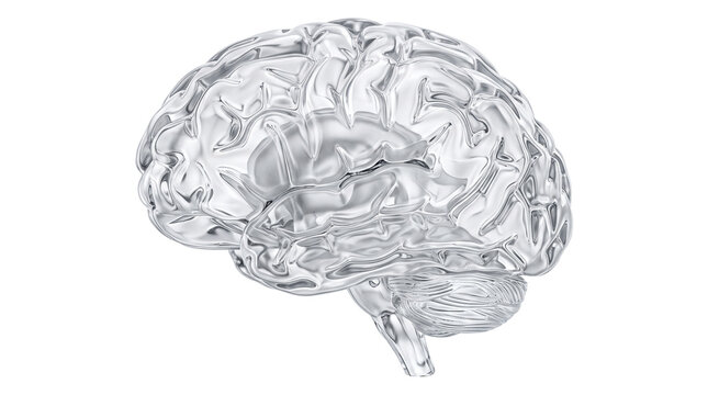 Shiny human brain 3d rendering in chrome color for medical and artificial intelligence concepts.