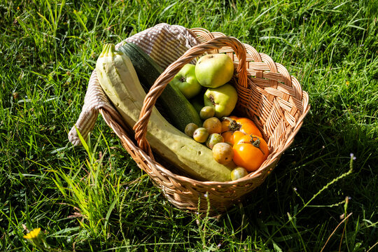 Fresh summer fruit and vegetable harvest in wicker basket