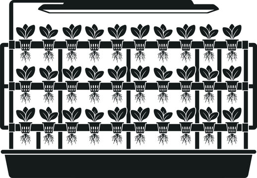 Hydroponic farming system vector illustration featuring vertical plant racks and LED grow lights for agriculture