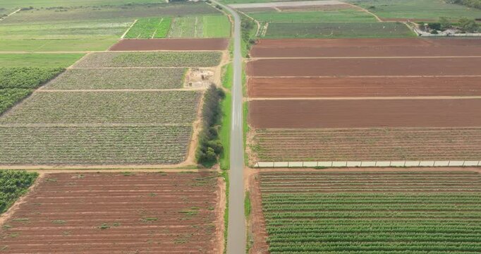 Aerial View of Crop Plantations, Carnarvon Western Australia, 4K Drone
