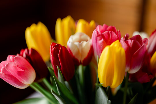 Colorful tulip bouquet in warm natural indoor light