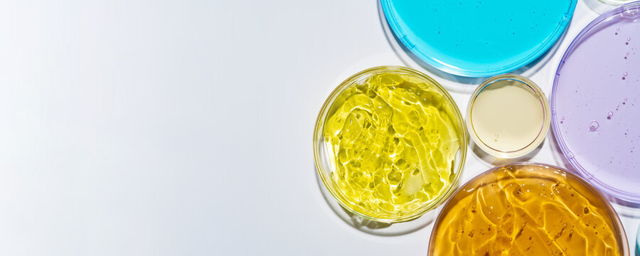Colorful Petri dishes with cosmetic gel laboratory samples