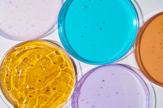 Colorful gel samples in Petri dish for cosmetic research
