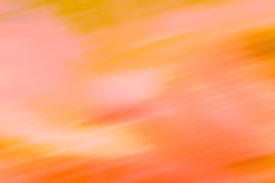 Abstract blurred orange and pink colorful background texture