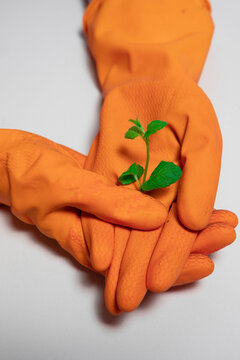 Orange glove hold green seedling for environmental care