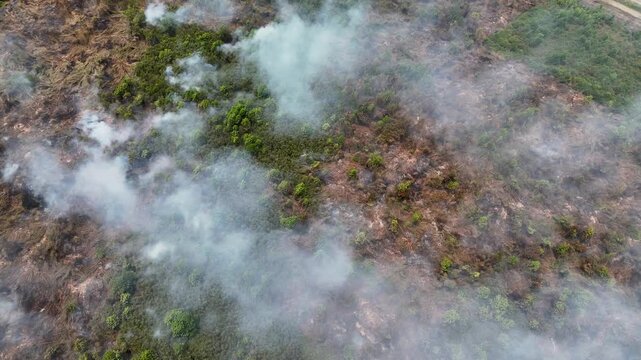 Dense smoke rising from a burning patch of dry vegetation in Banjarbaru South Kalimantan