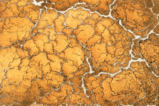Cracked salt flat texture in Toledo province during summer