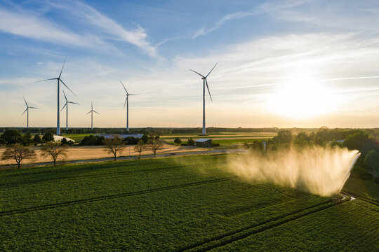 Cultivation and harvest. Organic harvest in farm field. Agricultural harvest. Crop cultivation. Wind turbines farm. Green energy. Sprinkler irrigation system watering field. Wind mill