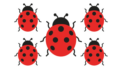 Fototapeta premium Five Ladybugs Arranged in Cluster Formation