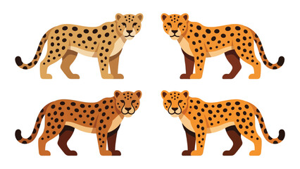 Four Cheetahs Standing in Different Poses with Spotted Coats © Kalam