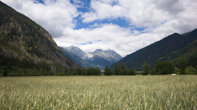 The landscape of the Antholz Valley in South Tyrol is characterized by mountains, forests, and farmland.