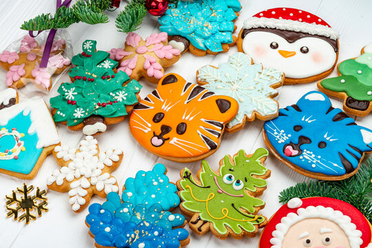 Close up of colored Christmas gingerbread cookies and fir branch. Angled shot of glazed holiday cookies, tiger face, Santa Claus, orange slice, pine needle twig.