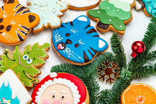 Macro shot of blue tiger gingerbread cookie with Christmas decor. Close up view of glazed holiday biscuit, green tree cookie, Santa Claus face, pine branch.