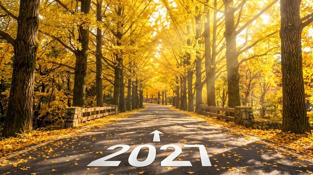 Sunlit Autumn Tree Canopy Road with Arrow and 2027 Marking