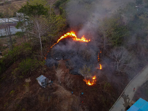 Aerial view of a forest fire burning near Waisai with flames and smoke rising from the trees near a small structure and a road in Raja Ampat, Southwest Papua, Indonesia.