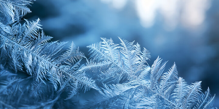 Feathered frost crystals spreading in from one corner