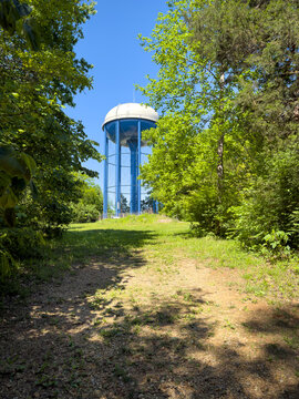 Tall blue and white water tower rises above the treetops, viewed from a grassy, sunlit trail clearing framed by dense foliage