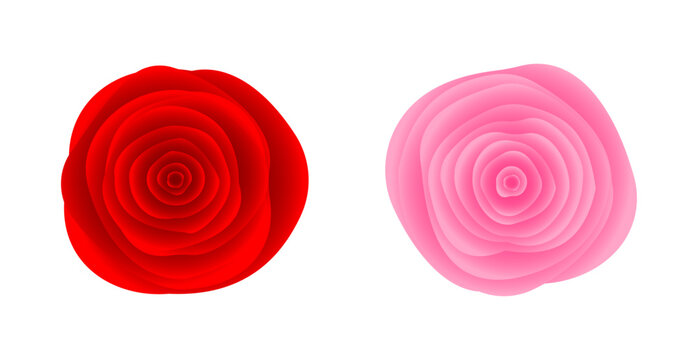 3D Red and Pink Rose Flower. Elegant Floral Object for Valentine's Day, Anniversary, and Beauty Design. Vector Illustration
