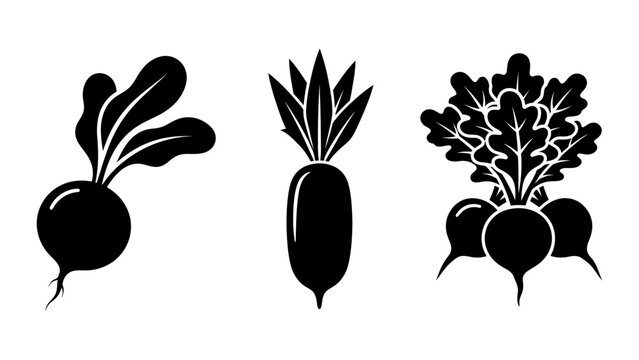 Fresh root vegetables including beet radish turnip with green leafy tops silhouette vector set root vegetable agriculture healthy food nutrition ingredient vegetarian