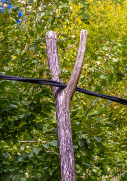 A forked wooden branch being used to prop up or lift utility cables. A wooden y-shaped branch acting as a rudimentary support prop for a heavy black overhead utility cable or wire