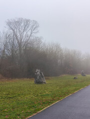 Obraz premium Foggy november morning in prague park with wooden structures
