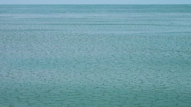 Cream ice, ice fat on Azov Sea. In calm, frosty weather, even salt water freezes, pancake ice forms, and when pores filled, ice crystals merge into flexible mass that extinguishes waves. Foam hardens