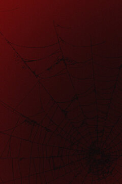 Intricate dark spider web set against a dramatic red and black background with a grainy texture creating a mysterious and eerie atmosphere